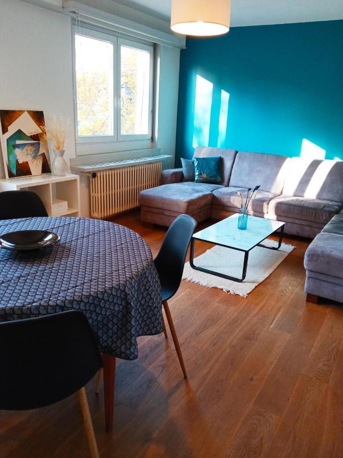 Rare A Colmar - Appartement Champ De Mars Vue Sur Parc - 70M2 - 2 Chambres Luaran gambar