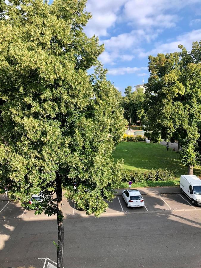 Rare A Colmar - Appartement Champ De Mars Vue Sur Parc - 70M2 - 2 Chambres Luaran gambar