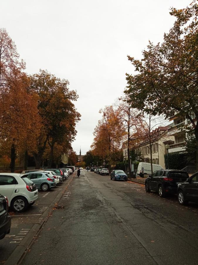 Rare A Colmar - Appartement Champ De Mars Vue Sur Parc - 70M2 - 2 Chambres Luaran gambar