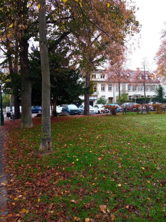 Rare A Colmar - Appartement Champ De Mars Vue Sur Parc - 70M2 - 2 Chambres Luaran gambar