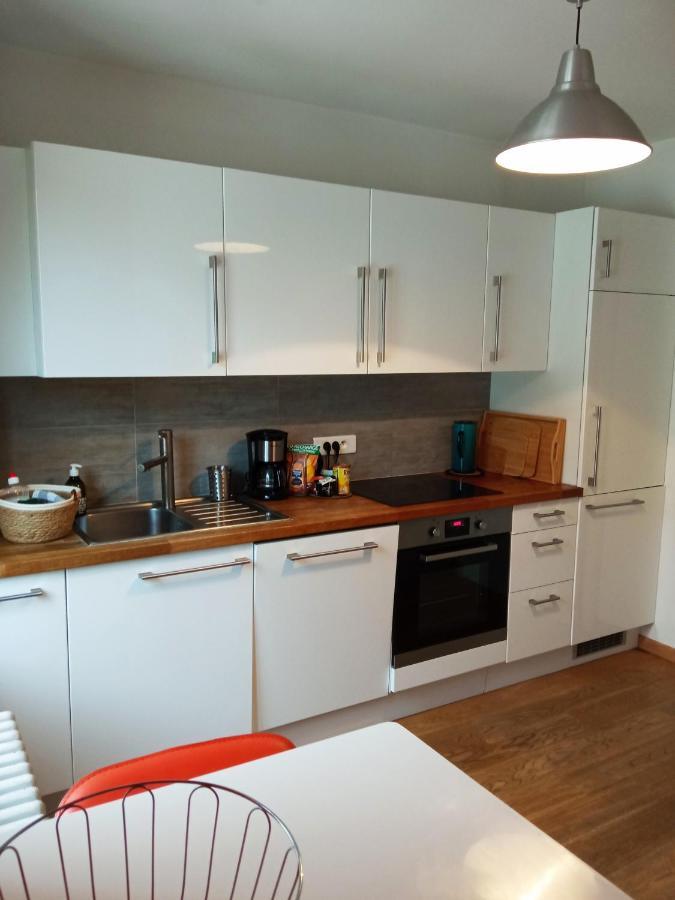 Rare A Colmar - Appartement Champ De Mars Vue Sur Parc - 70M2 - 2 Chambres Luaran gambar
