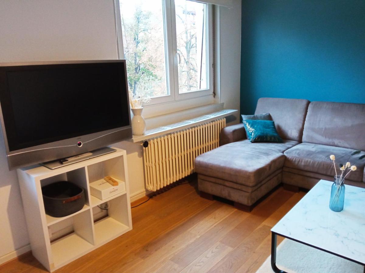 Rare A Colmar - Appartement Champ De Mars Vue Sur Parc - 70M2 - 2 Chambres Luaran gambar